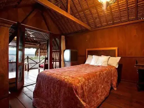 Phoenix Villa - Foto 3