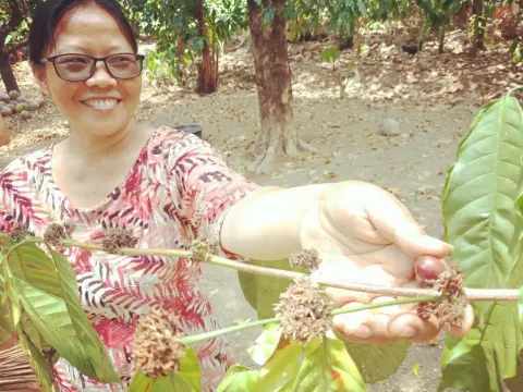 Shibui Garden Bungalows and Restaurant - Photo 1