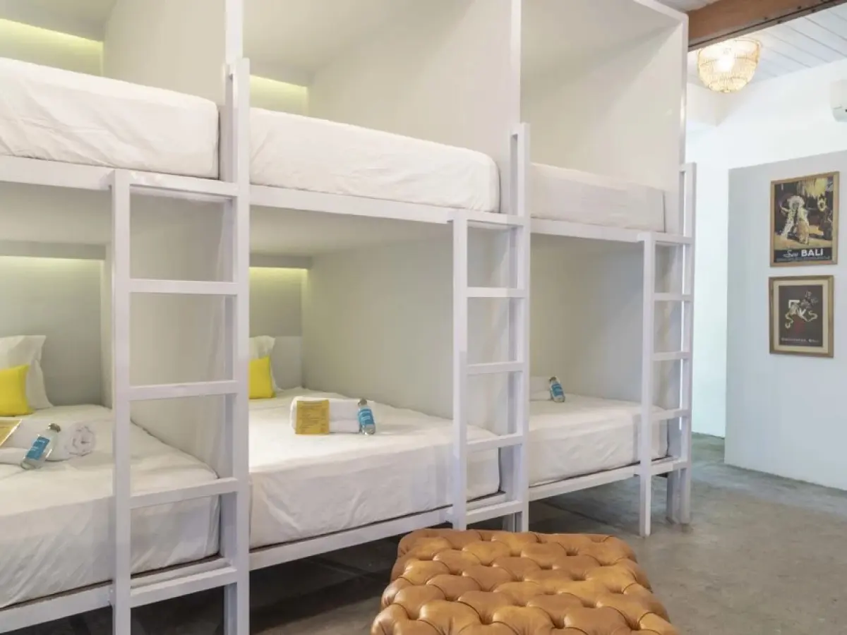 Socialista Lifestyle Hostel