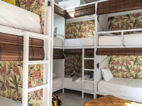 Socialista Lifestyle Hostel - Foto 3