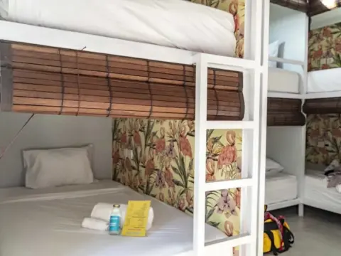 Socialista Lifestyle Hostel - Foto 4