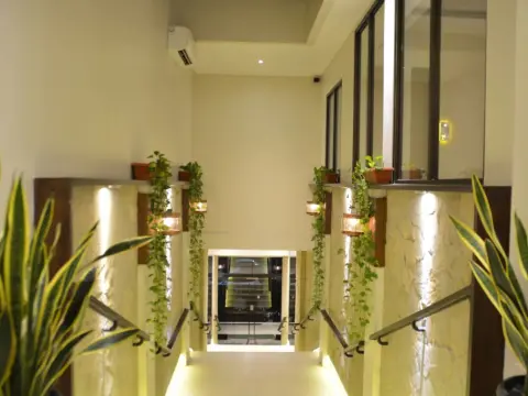 Treehouse Suites - Photo 3