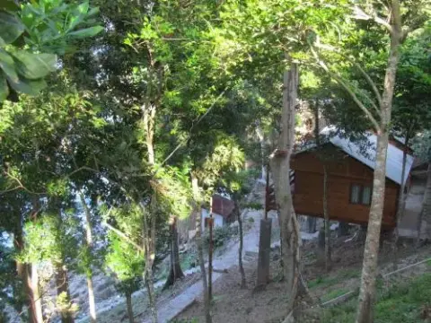 Treetop Guesthouse and Bungalows - Photo 1