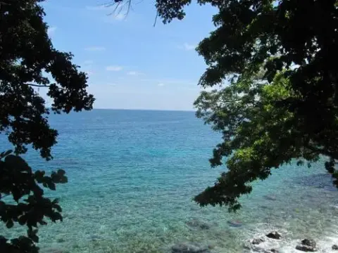 Treetop Guesthouse and Bungalows - Photo 3