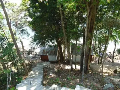 Treetop Guesthouse and Bungalows - Photo 4