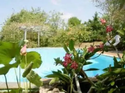 Udayana Kingfisher Eco Lodge - Foto 3