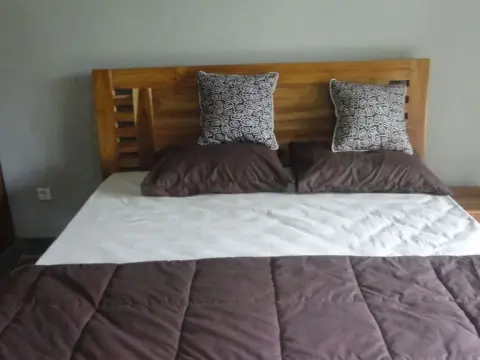 Uma Bian Guest House Ubud - Photo 1