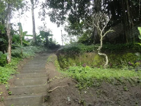 Uma Bian Guest House Ubud - Photo 3