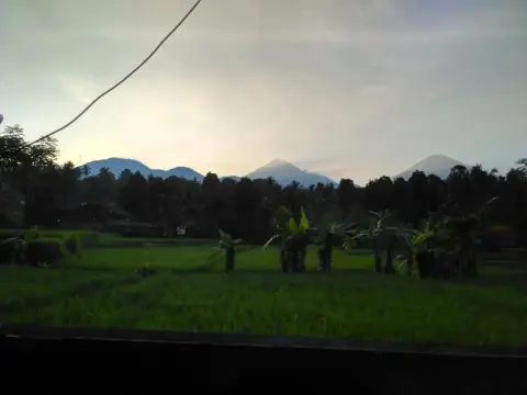 Yoga Homestay - Photo 4