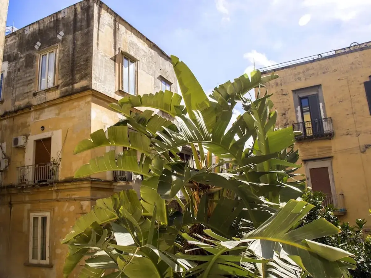 26 Urban Guest House