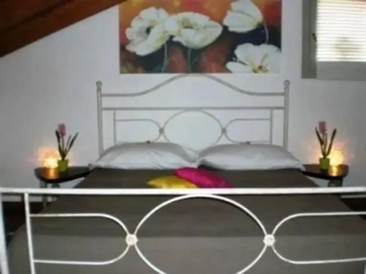 Abelia Holiday House