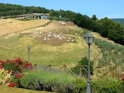 Agr. Casale Antico Fattoria Luchetti - Photo 2