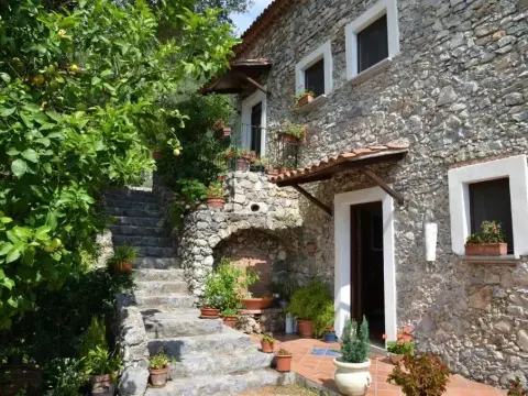 Agrestis Domus - Foto 3