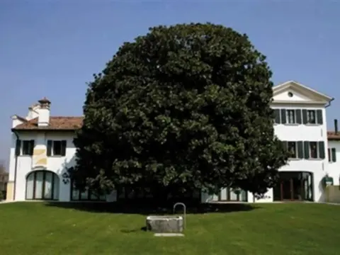 Agriturismo Fossa Mala - Photo 1