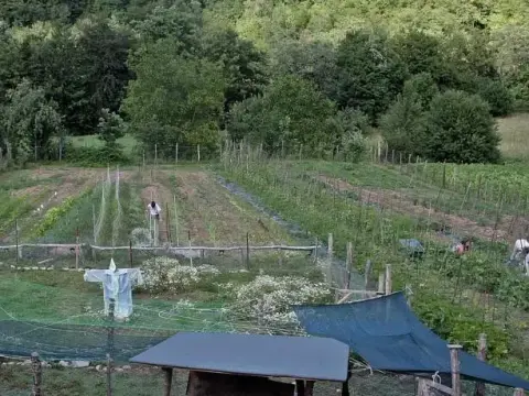 Agriturismo Il Pellegrino - Photo 3
