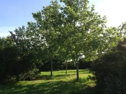 Agriturismo La Fattoria Del Mortelliccio - Photo 3