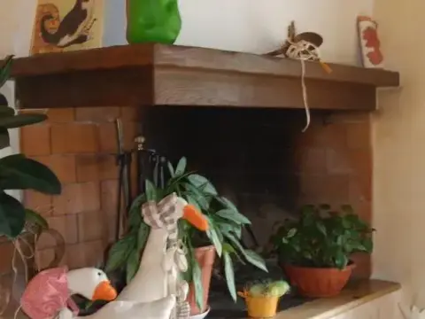 Agriturismo La Nuova Palombara - Photo 3