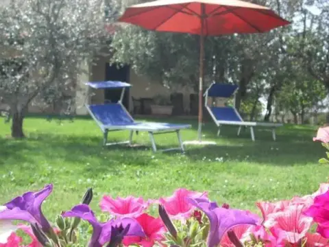 Agriturismo Le Macine - Photo 4