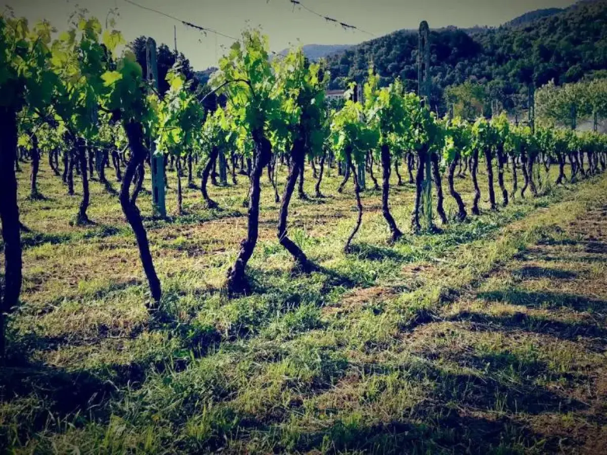 Agriturismo Magic Moments