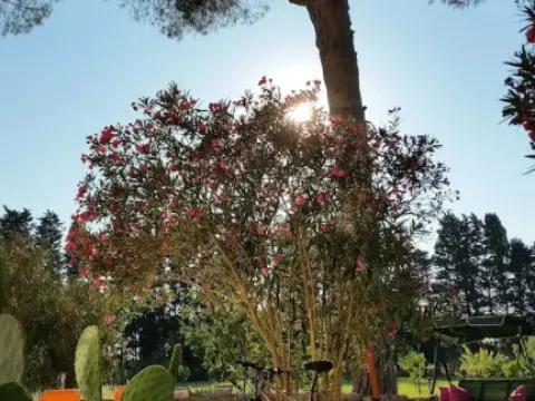 Agriturismo Occhineri - Foto 4