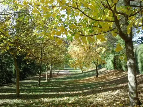 Agriturismo VILLA MOZART nel verde - Photo 3