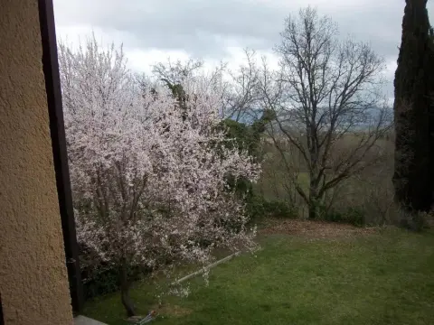 Agriturismo VILLA MOZART nel verde - Photo 4