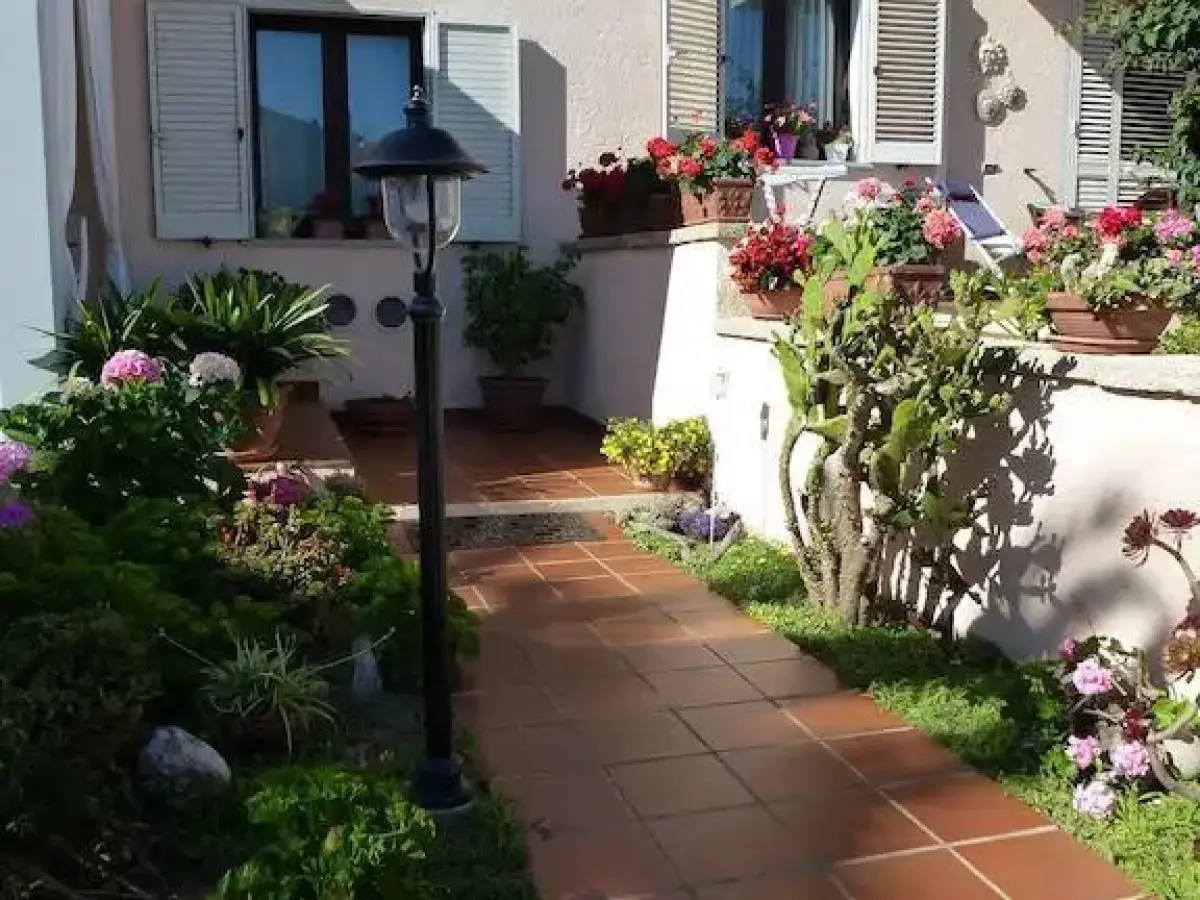 Ajo Da Patrizia