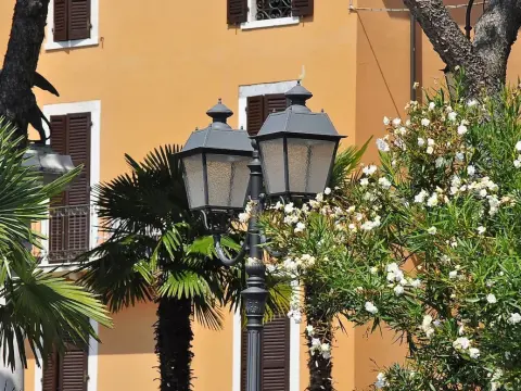 Albergo Meuble' Olivi - Photo 1