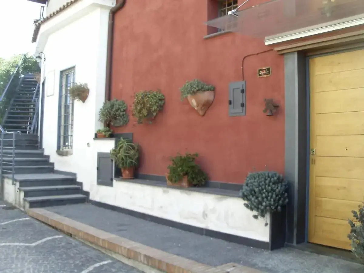 Azienda Agricola Fuocomuorto