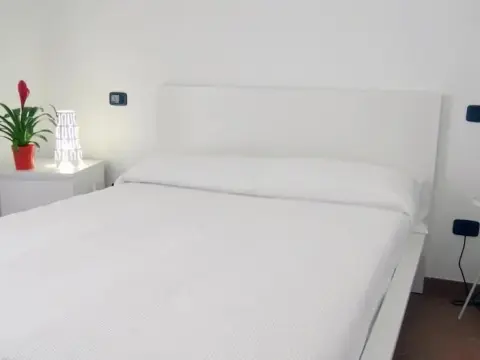 Barbaruta RTA - фото 4