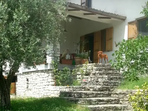 BB Cipriani - Foto 2