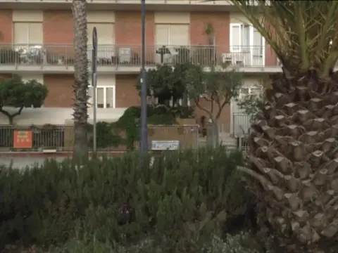 B&B Dreamfish - Photo 1