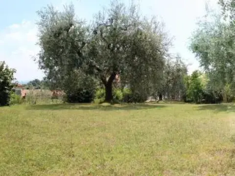 B&B Drusilla Garden - фото 2