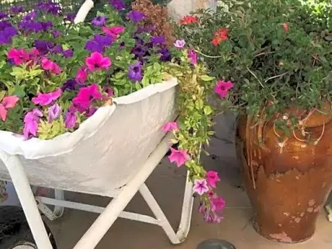 B&B la stella - Photo 2