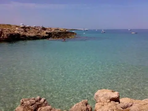 Le Coccinelle - Photo 1