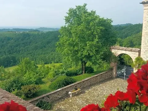 B&B Le Ginestre - Photo 4