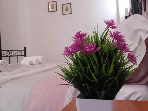 Bed and breakfast Le Pavoncelle - Photo 4