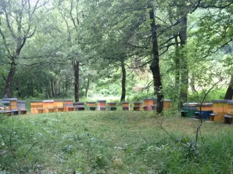 B&B Maretti Marco - Photo 1