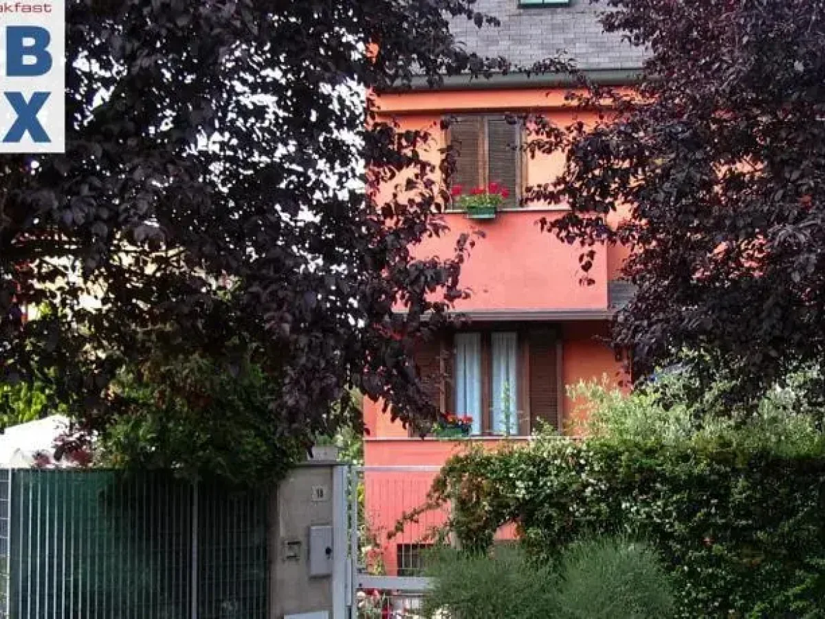 B&B Max