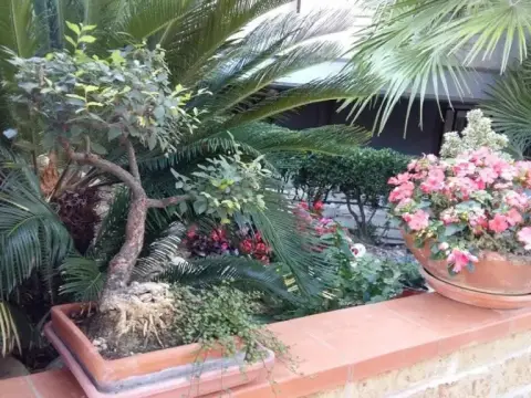 B&B Mirella - Photo 4