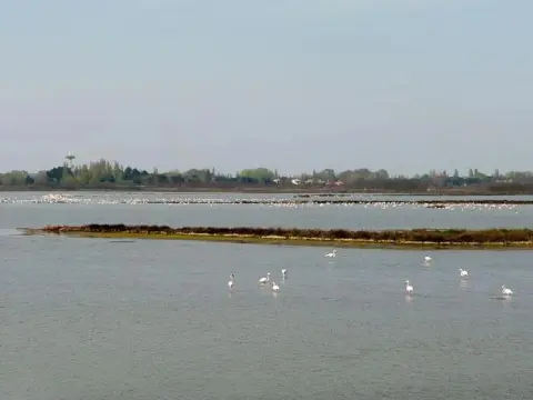 B&B Rosolina - Foto 1