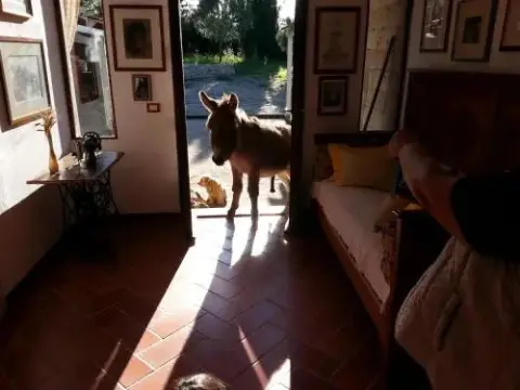 Bed and Breakfast da Lucia - Photo 4
