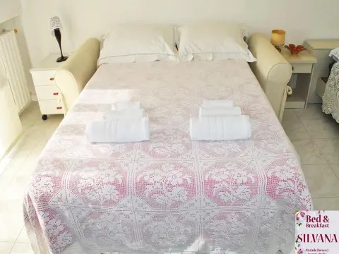 Bed and Breakfast Silvana - Photo 2