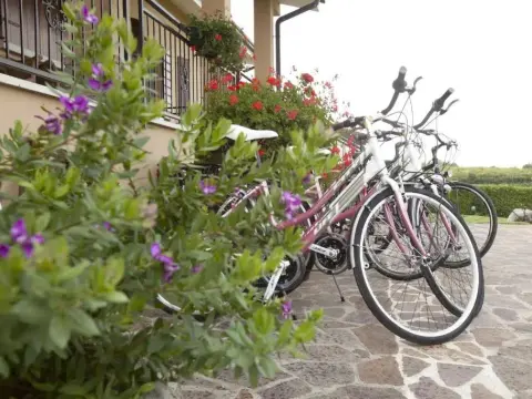 B&B Conca Verde - Photo 1