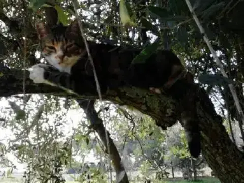 Bed&Breakfast Flora - Photo 3