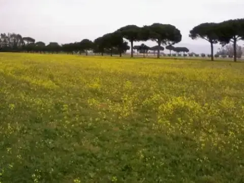 Bed&Breakfast Flora - Photo 4