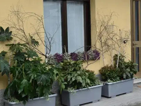Calliope B&B - фото 1