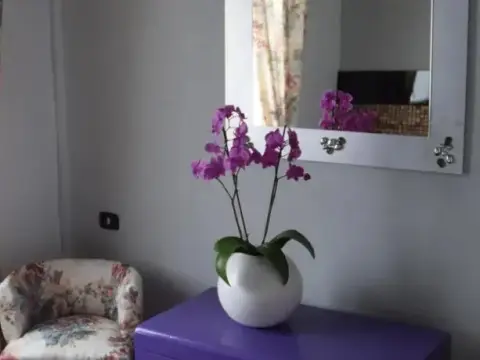Calliope B&B - фото 4