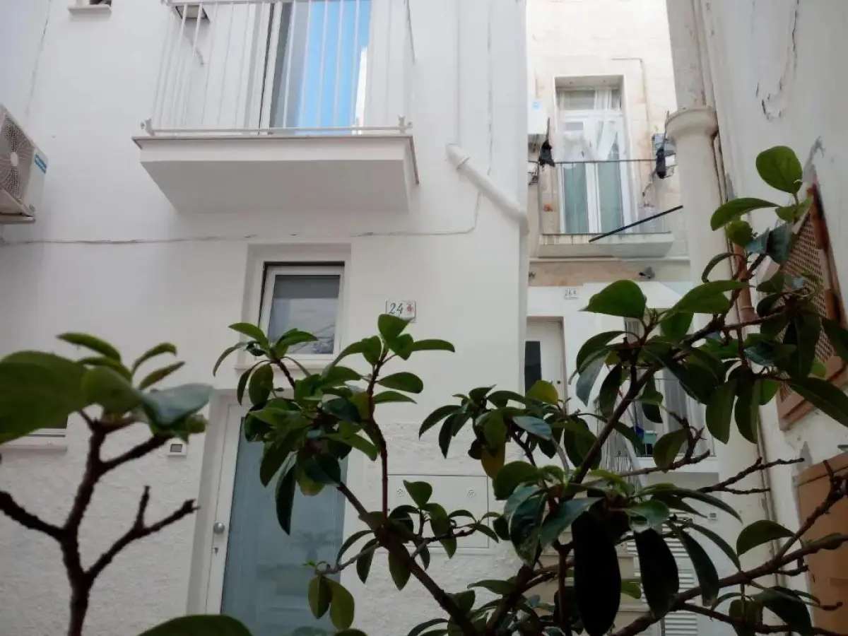 Casa Mina