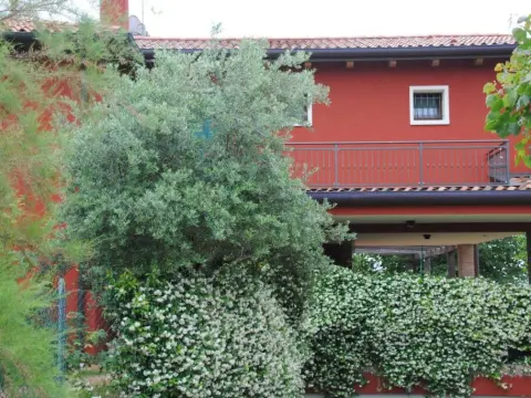 Casa Rosso Veneziano - Photo 1